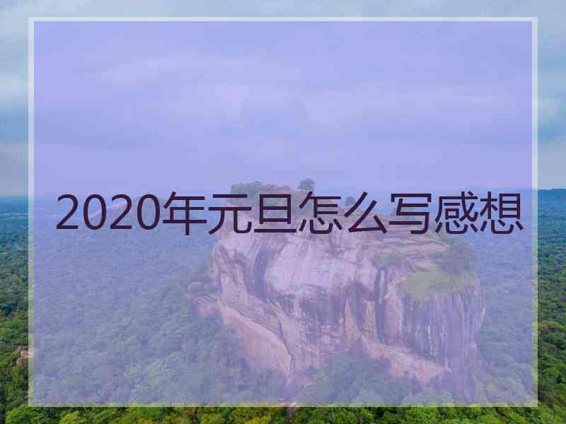 2020年元旦怎么写感想