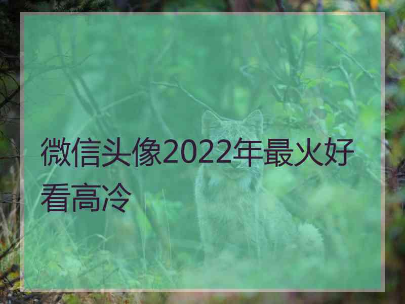 微信头像2022年最火好看高冷