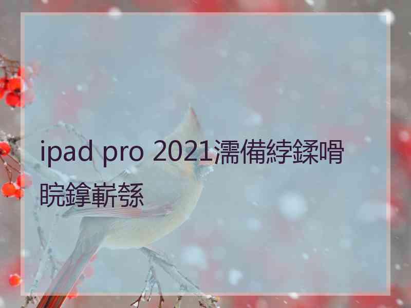 ipad pro 2021濡備綍鍒嗗睆鎿嶄綔