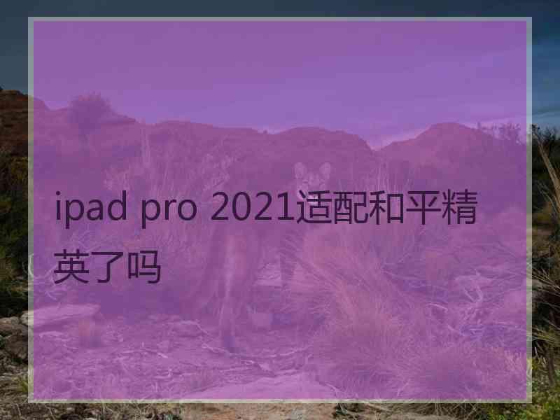 ipad pro 2021适配和平精英了吗