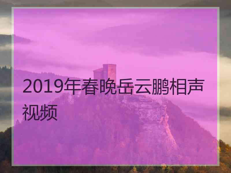 2019年春晚岳云鹏相声视频