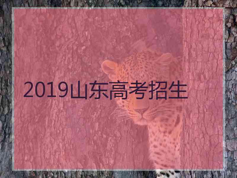 2019山东高考招生