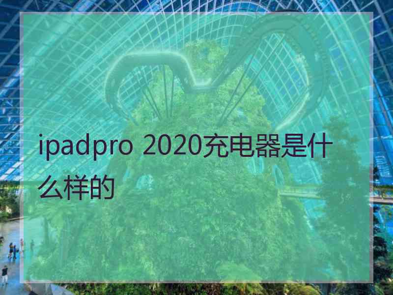 ipadpro 2020充电器是什么样的