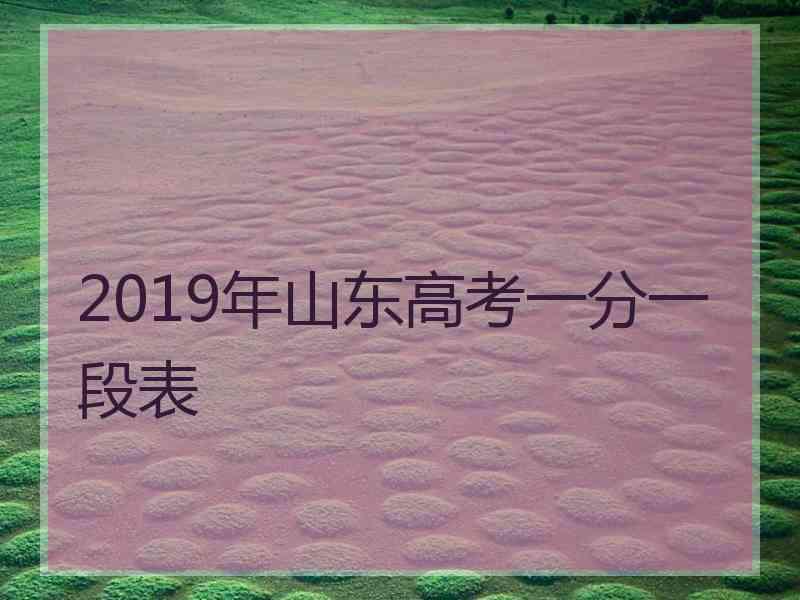 2019年山东高考一分一段表