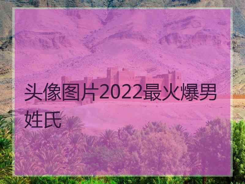 头像图片2022最火爆男姓氏