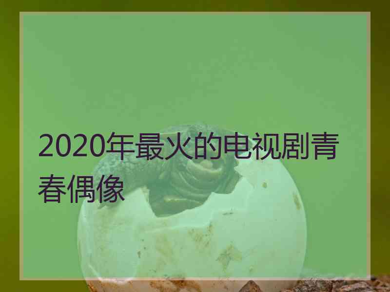 2020年最火的电视剧青春偶像