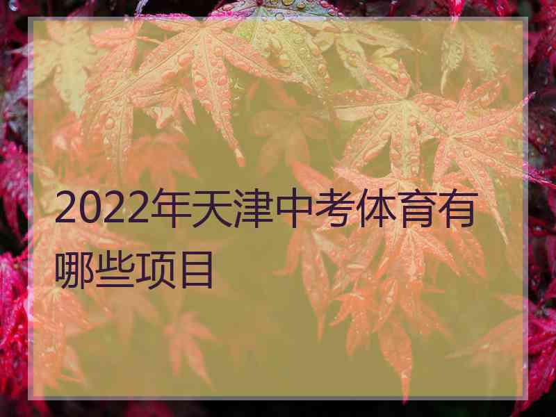 2022年天津中考体育有哪些项目