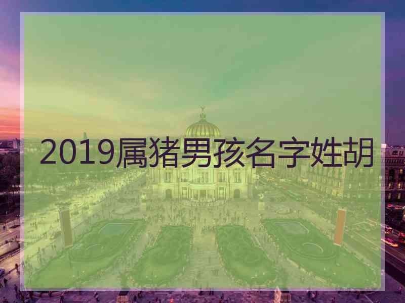 2019属猪男孩名字姓胡