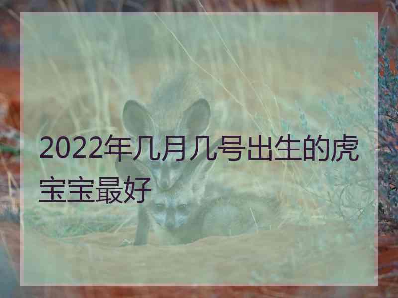 2022年几月几号出生的虎宝宝最好