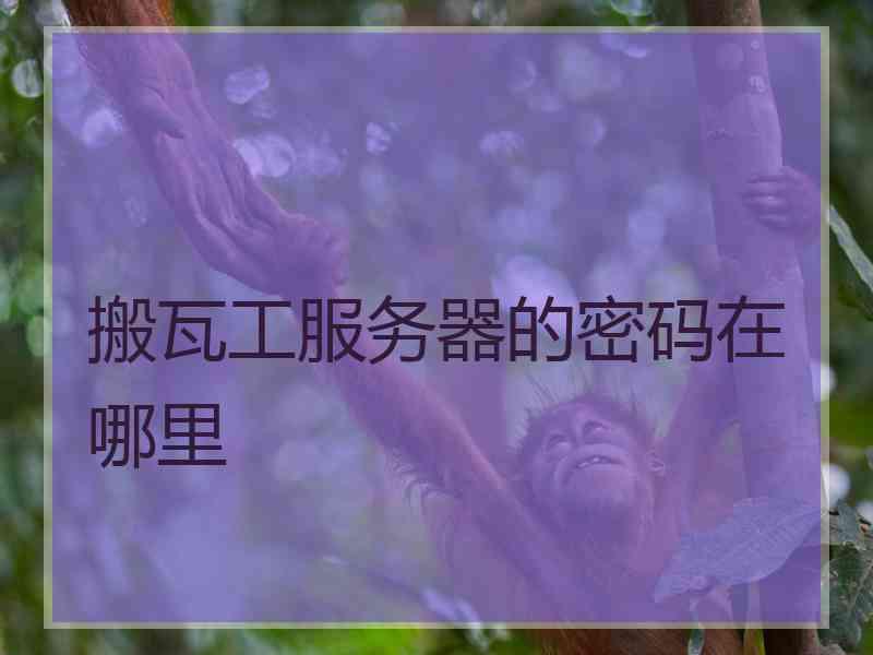 搬瓦工服务器的密码在哪里