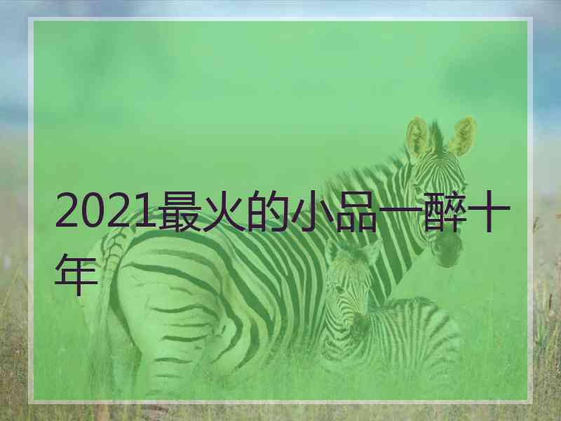 2021最火的小品一醉十年