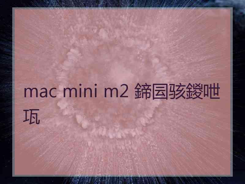 mac mini m2 鍗囩骇鍐呭瓨