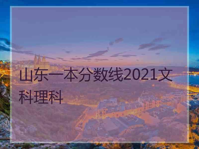 山东一本分数线2021文科理科