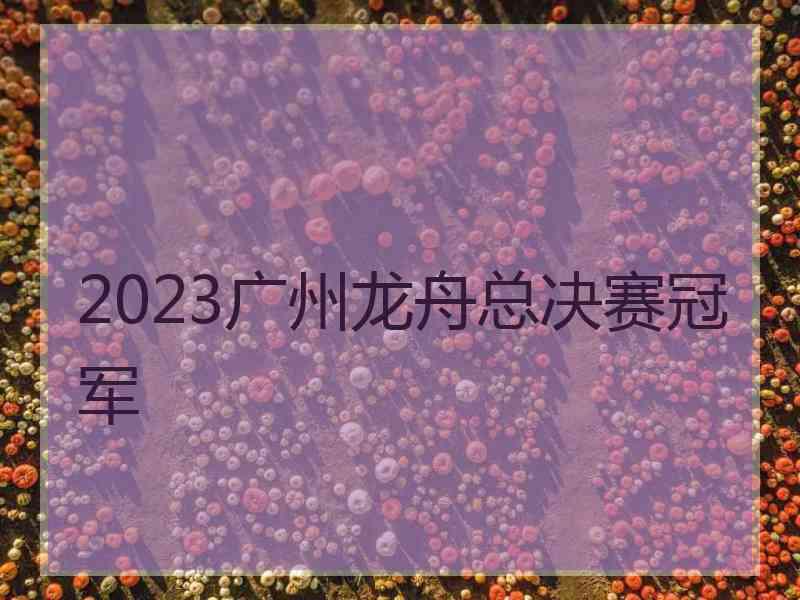 2023广州龙舟总决赛冠军