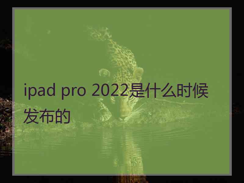 ipad pro 2022是什么时候发布的