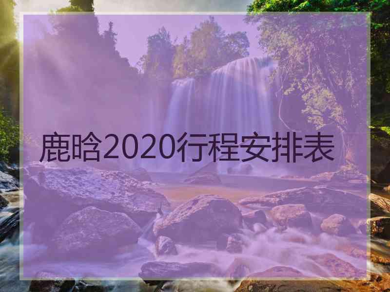 鹿晗2020行程安排表