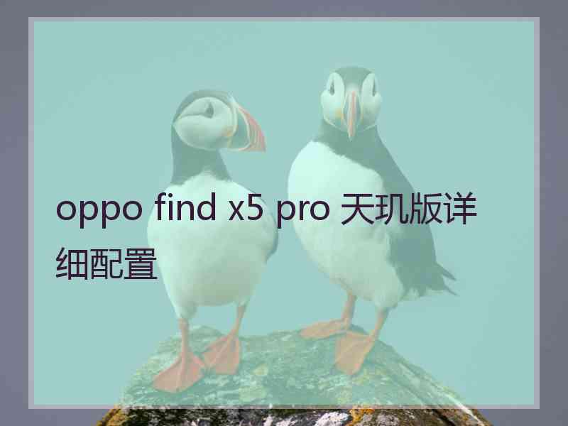 oppo find x5 pro 天玑版详细配置