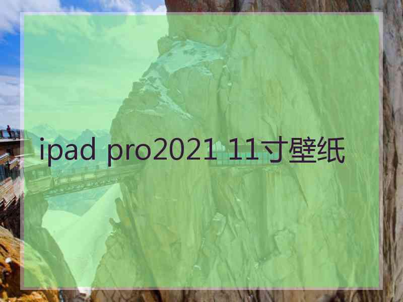 ipad pro2021 11寸壁纸