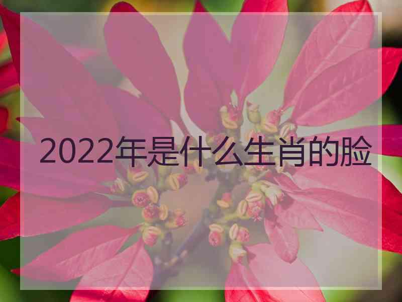 2022年是什么生肖的脸