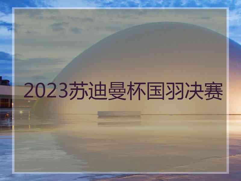 2023苏迪曼杯国羽决赛