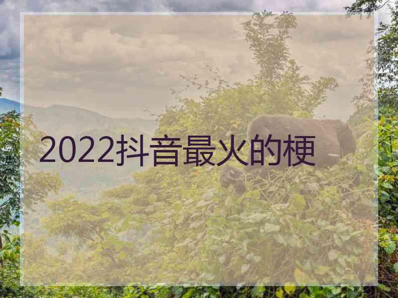 2022抖音最火的梗