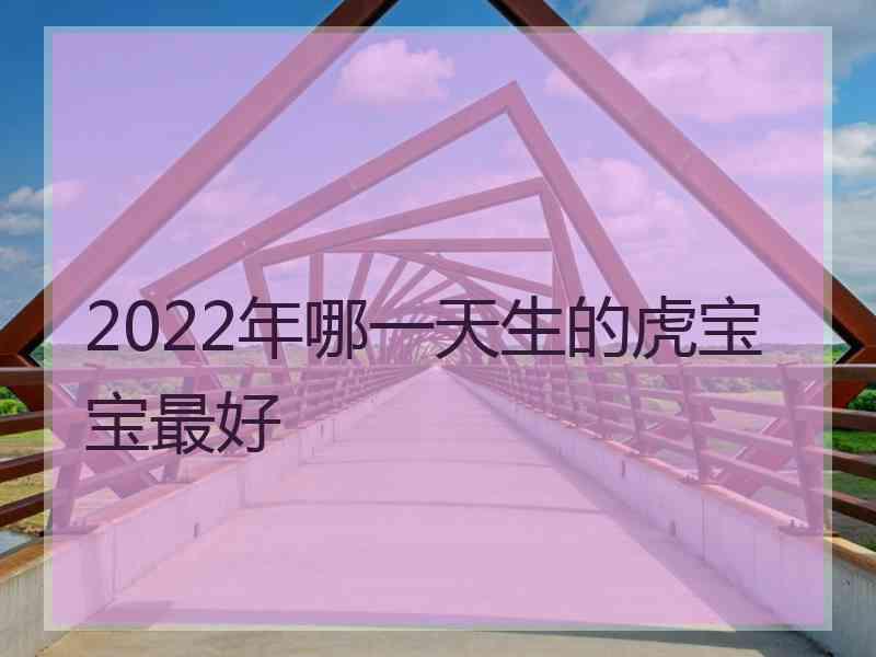 2022年哪一天生的虎宝宝最好