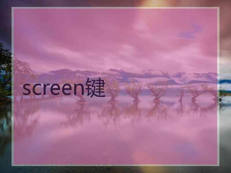 screen键