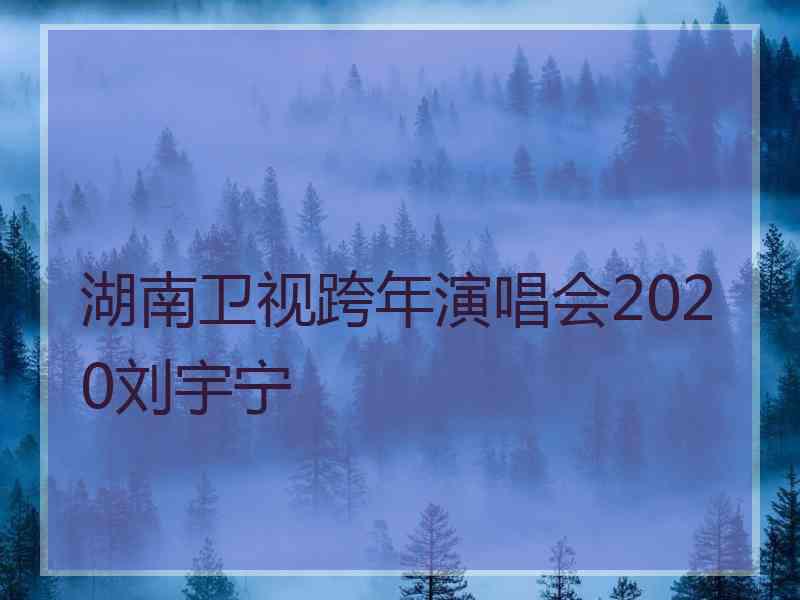 湖南卫视跨年演唱会2020刘宇宁