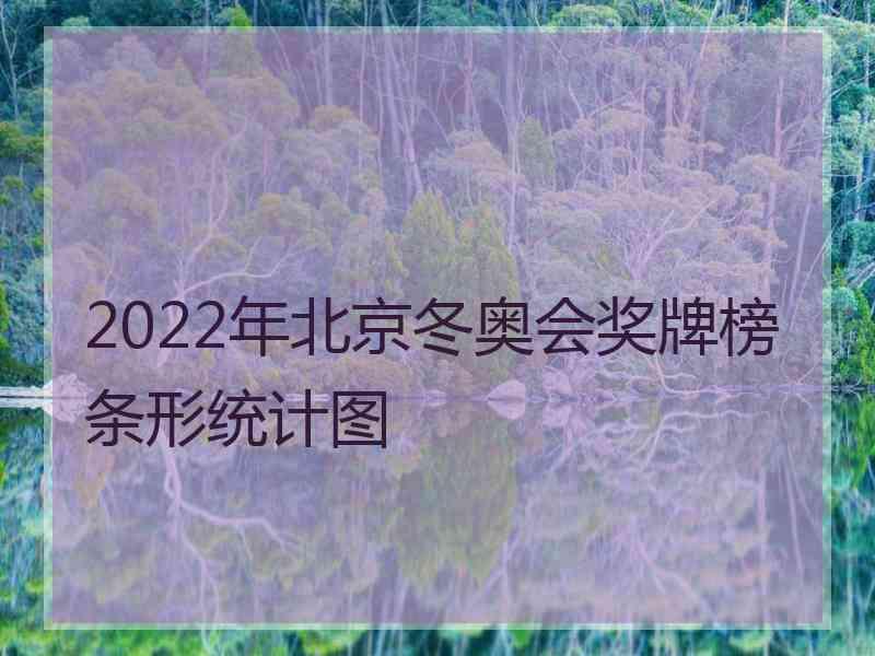 2022年北京冬奥会奖牌榜条形统计图