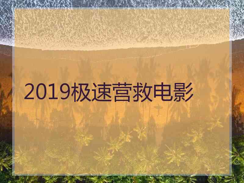 2019极速营救电影