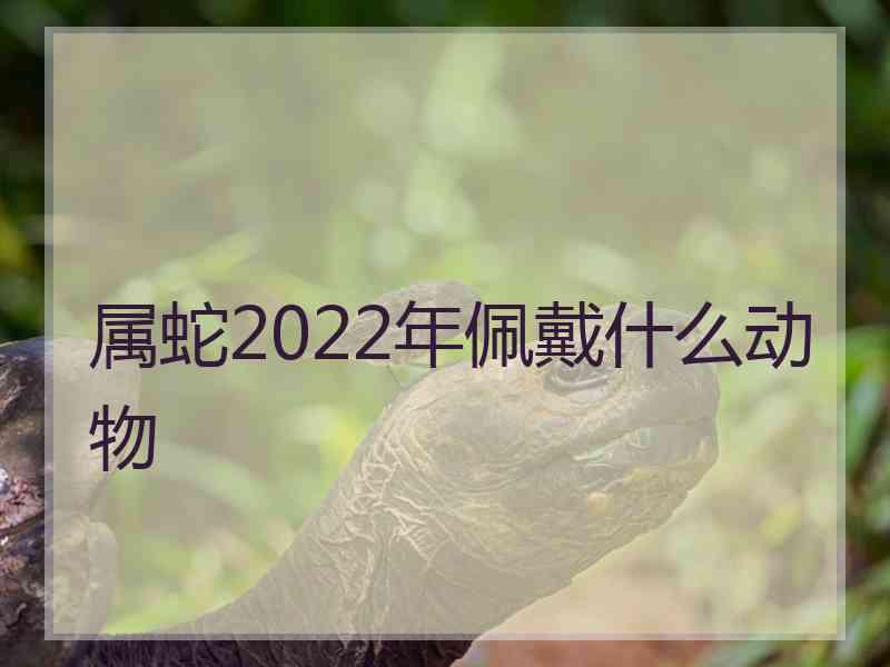 属蛇2022年佩戴什么动物