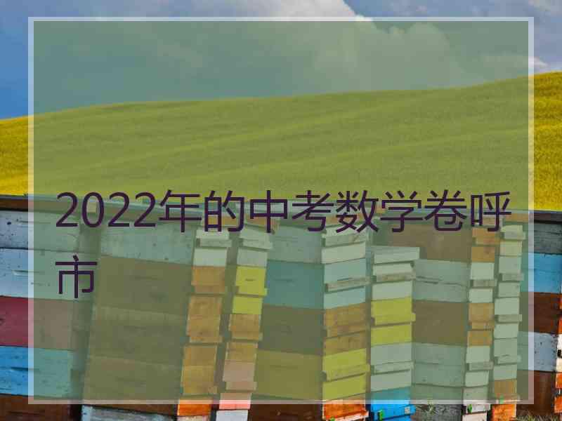 2022年的中考数学卷呼市