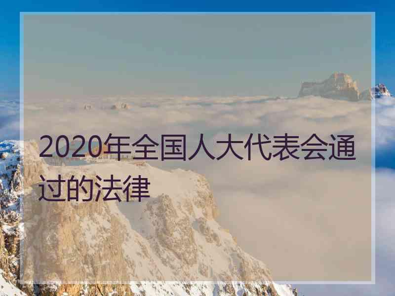 2020年全国人大代表会通过的法律