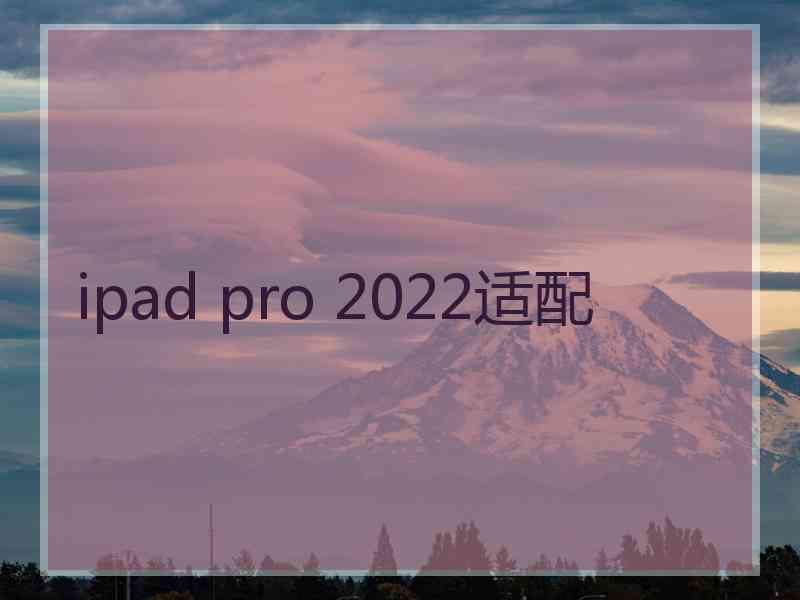 ipad pro 2022适配