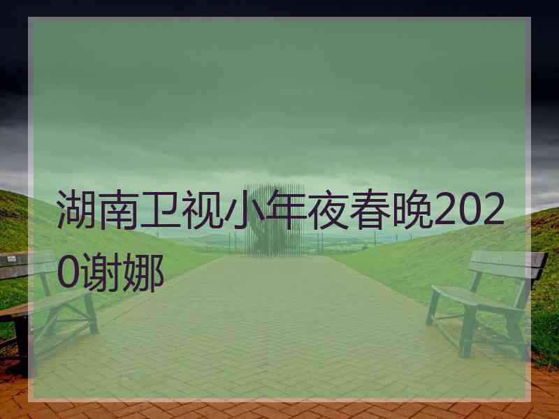 湖南卫视小年夜春晚2020谢娜