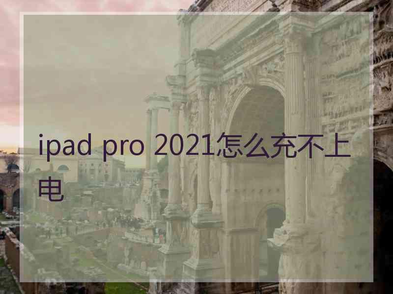 ipad pro 2021怎么充不上电