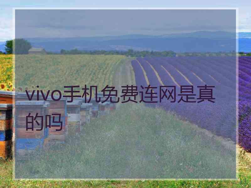 vivo手机免费连网是真的吗