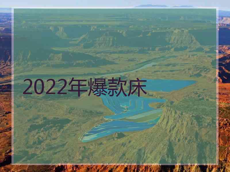 2022年爆款床