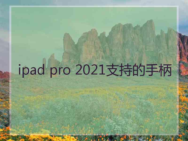 ipad pro 2021支持的手柄