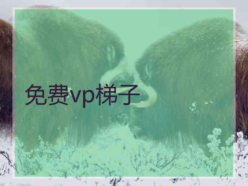 免费vp梯子