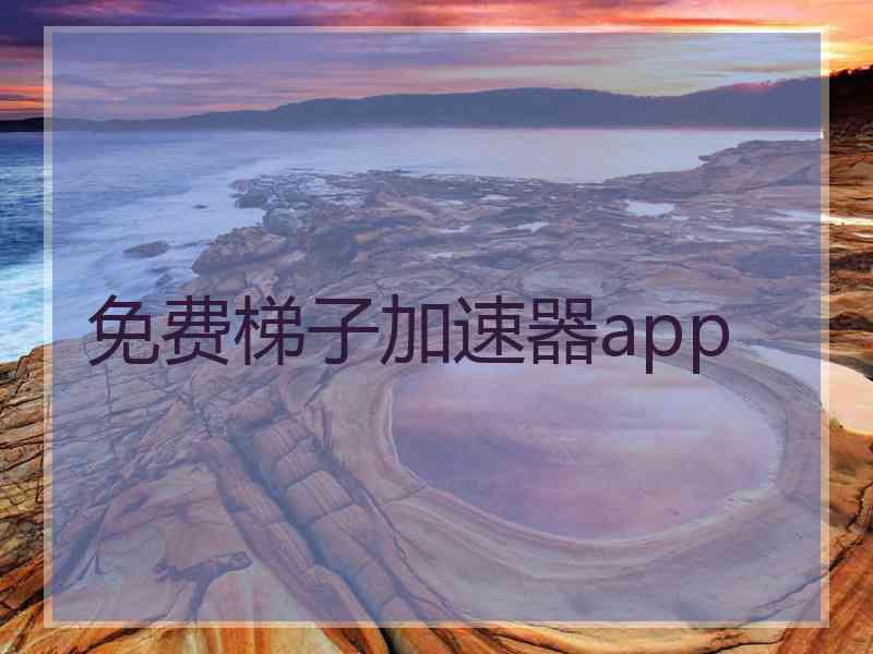 免费梯子加速器app