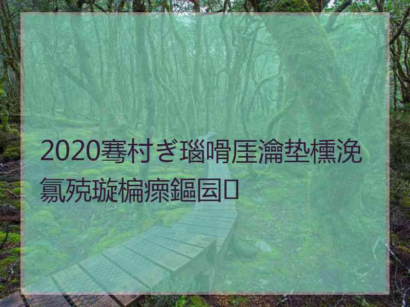 2020骞村ぎ瑙嗗厓瀹垫櫄浼氱殑璇楄瘝鏂囩