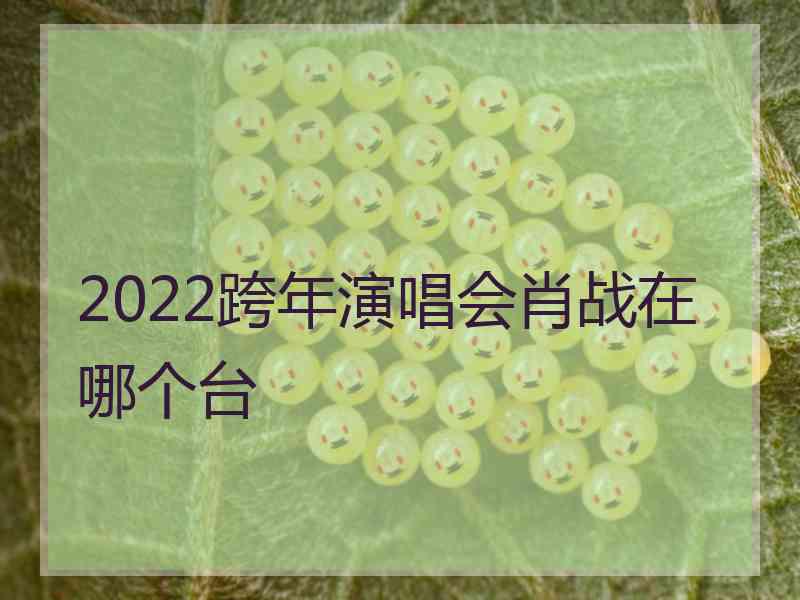 2022跨年演唱会肖战在哪个台