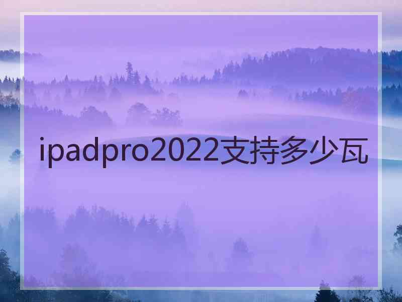 ipadpro2022支持多少瓦