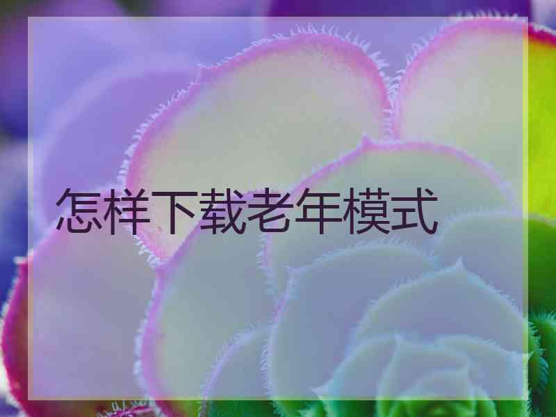 怎样下载老年模式