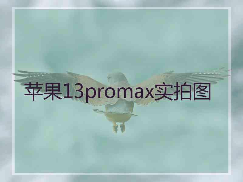 苹果13promax实拍图