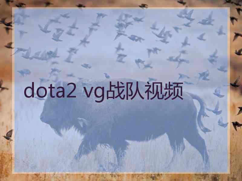 dota2 vg战队视频