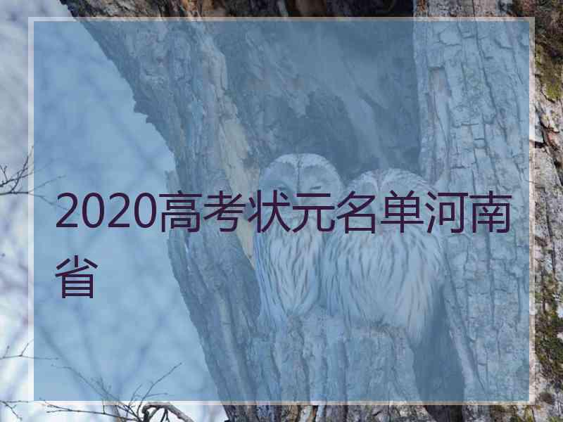 2020高考状元名单河南省