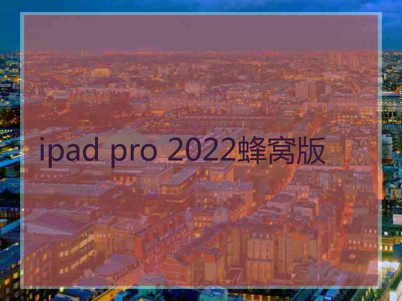 ipad pro 2022蜂窝版