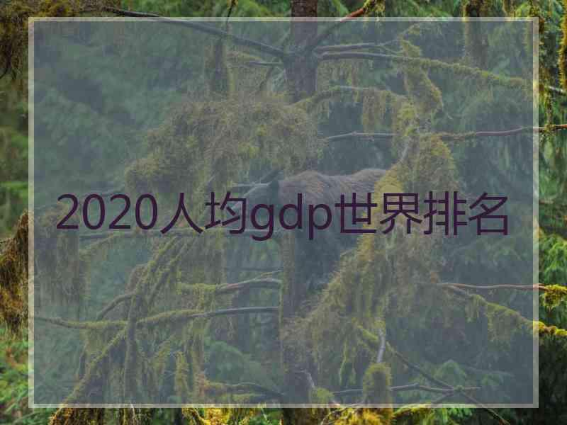 2020人均gdp世界排名